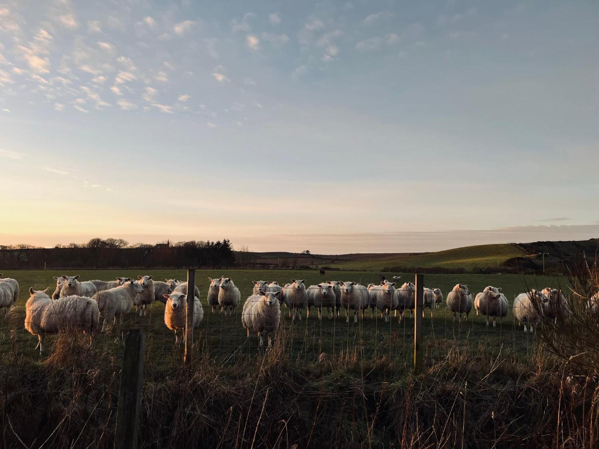 Tumbledown Croft, Rural Near Cruden Bay Apartment
